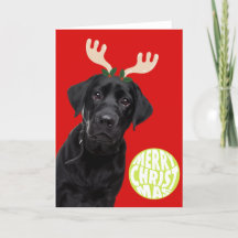 Cachorro Labrador Preto PetCristmas Bola de Ténis