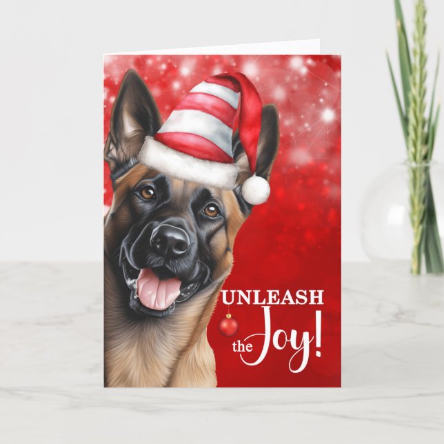 Cartão De Festividades Cachorro Malinois Belga Libere o Natal da Alegria (Frente)
