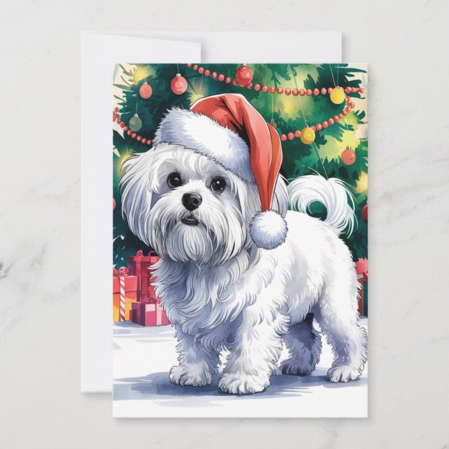 Cartão De Festividades Cachorro Maltês Branco com Papai Noel (Frente)