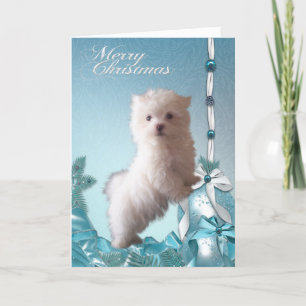 Cartão De Festividades Cachorro Maltês no Natal