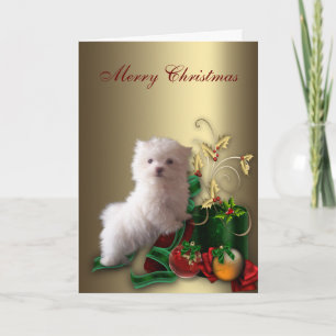 Cartão De Festividades Cachorro Maltês no Natal