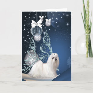 Cartão De Festividades Cachorro Maltês no Natal