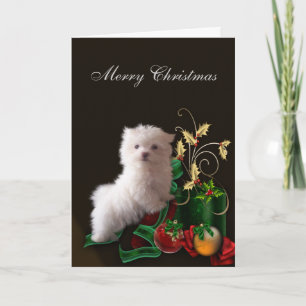 Cartão De Festividades Cachorro Maltês no Natal