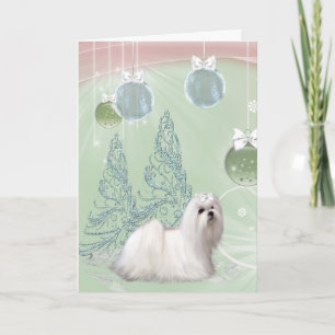 Cartão De Festividades Cachorro Maltês no Natal