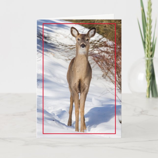 Cartão De Festividades Cachorro na Neve (Frente)