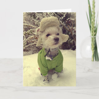Cartão De Festividades Cachorro na neve