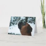 CARTÃO DE FESTIVIDADES CACHORRO NA NEVE<br><div class="desc">CACHORA DE BOXER NA PLACA DE NEVE PARA QUALQUER OCASIÃO</div>