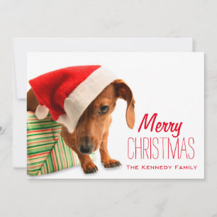Cartão De Festividades Cachorro no chapéu de Papai Noel