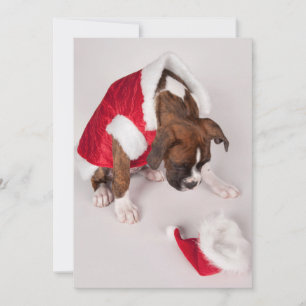 Cartão De Festividades Cachorro numa fantasia de Papai noel
