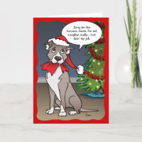 Cachorro Pit Bull Engraçado do Papai Noel da Naugh