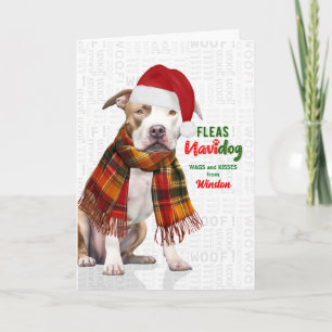 Cartão De Festividades Cachorro Pit Bull Fofo Piolhos Engraçados Navidog 