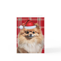 Cachorro Pomerânia Natal Plaid Vermelho e Branco F