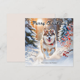 Cartão De Festividades Cachorro Pomsky Fofo Na Neve Natal Feliz