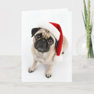 Cartão De Festividades Cachorro Pug Fawn Natal Chapéu de Papai Noel Olhos