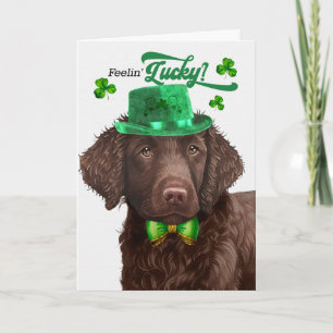 Cartão De Festividades Cachorro Retriever de Capa Encaracolada Sorte no D