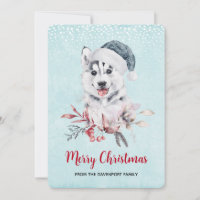 Cachorro Rouco de Natal num Chapéu Santa