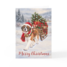 Cachorro São Bernardo Ajuda do Papai Noel