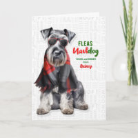 Cachorro Shnauzer Pulgas Engraçadas Navidog com No