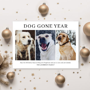 Cartão De Festividades Cachorro Simples Passou 3 Anos Foto Natal