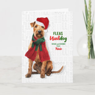 Cartão De Festividades Cachorro Terrier de Lakeland Engraçado Pulgas Navi