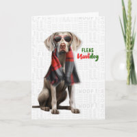 Cachorro Weimaraner Pulgas Engraçadas Navidog Nata