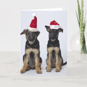 Cartão De Festividades Cachorros com chapéus de Santa