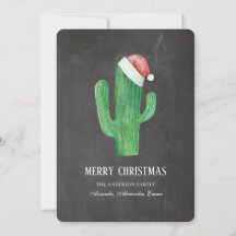 Cacto de Natal. Ano Novo. Cactos de placebo