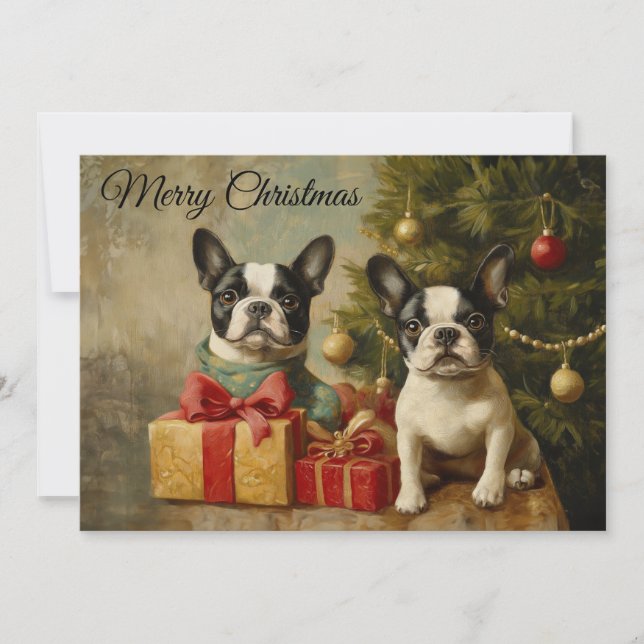 Cartão De Festividades Cães Antigos da Raça Boston Terrier Feliz Natal (Frente)