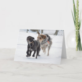 Cartão De Festividades Cães brincando no Natal da neve