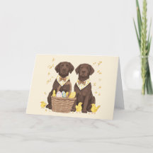Cães de felz pascoa de chocolate Labrador