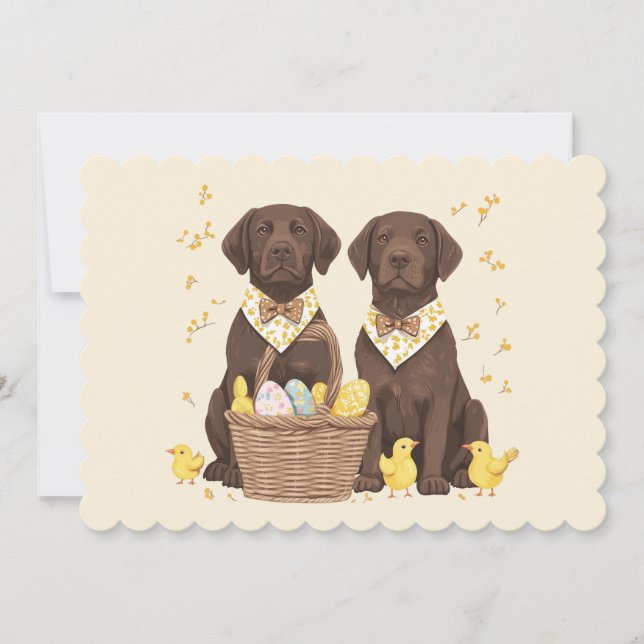 Cartão De Festividades Cães de páscoa de chocolate Labrador (Frente)