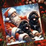Cartão De Festividades Cães de Terra Nova com Papai Noel Festivo<br><div class="desc">Papais noeis de Natal estilo Vintage com dois bonitos cartões de Natal de Cães Loucos de Nova Terra. Personalize isso com sua própria mensagem e nome de família para enviar aos amigos e à família para os feriados.</div>
