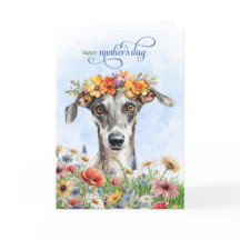 Cães Greyhound Flores Silvestres Dia das Mães