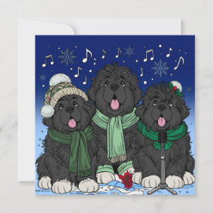 Cartão De Festividades Cães Newfoundland cantando canções de Natal