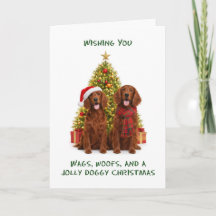 Cães Setter Vermelhos Natal