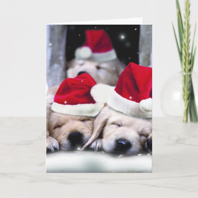 Cartão De Festividades Cãezinhos lindos de labrador com chapéus de Natal (Frente)