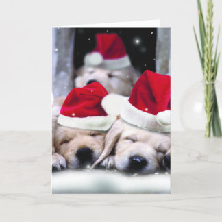 Cartão De Festividades Cãezinhos lindos de labrador com chapéus de Natal