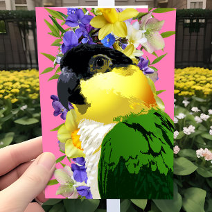 Cartão De Festividades Caique Parrot Pretty Spring Floral Pet Bird Love