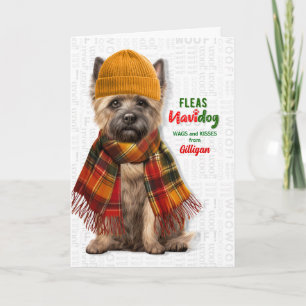 Cartão De Festividades Cairn Terrier Cachorro Engraçado Pulgas Navidog co
