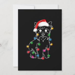 Cartão De Festividades Cairn Terrier Cachorro Luzes Natal Correspondência