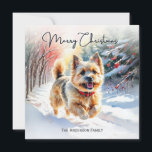 Cartão De Festividades Cairn Terrier Em Snow Winter Merry Christmas<br><div class="desc">Este cartão de Natal de na moda fotografa um Cairn Terrier cão que desfruta de uma caminhada através de uma paisagem nevada, com bagas vermelhas e árvores verdes. No topo está a saudação "Feliz Natal" na tipografia de na moda, enquanto o texto no fundo pode ser personalizado com o(s) seu(s)...</div>