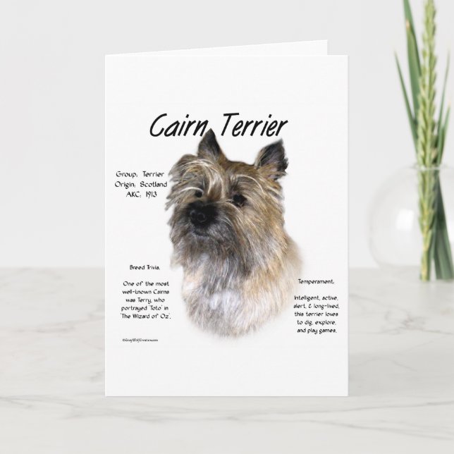Cartão De Festividades Cairn Terrier History Design (Frente)