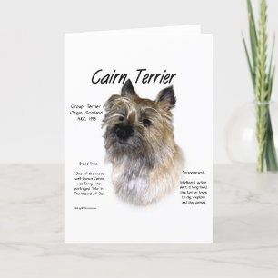 Cartão De Festividades Cairn Terrier History Design