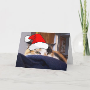 Cartão De Festividades Calico Cat Natal