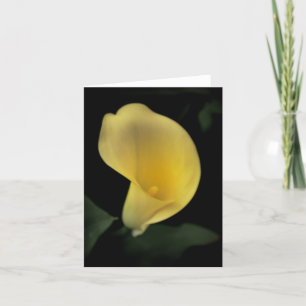 Cartão De Festividades Calla Lily Card