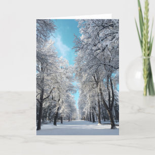 Cartão De Festividades caminhada de inverno no parque