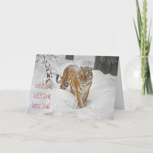 Cartão De Festividades Caminho de Neve do Tigre (Frente)