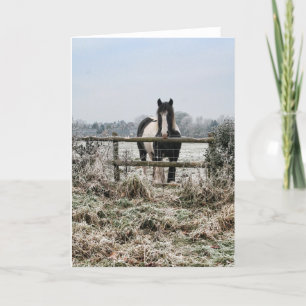 Cartão De Festividades Campo Congelado