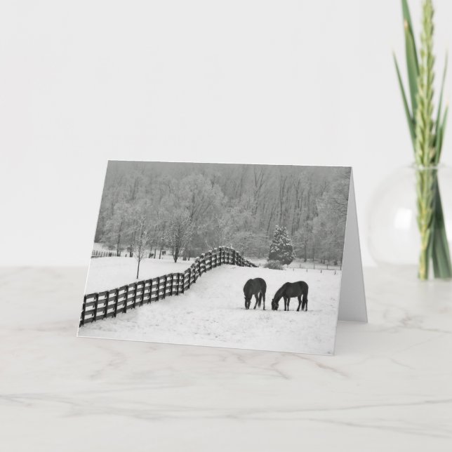 Cartão De Festividades Campo de inverno (Frente)