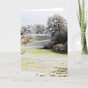 Cartão De Festividades Campos e árvores congelados